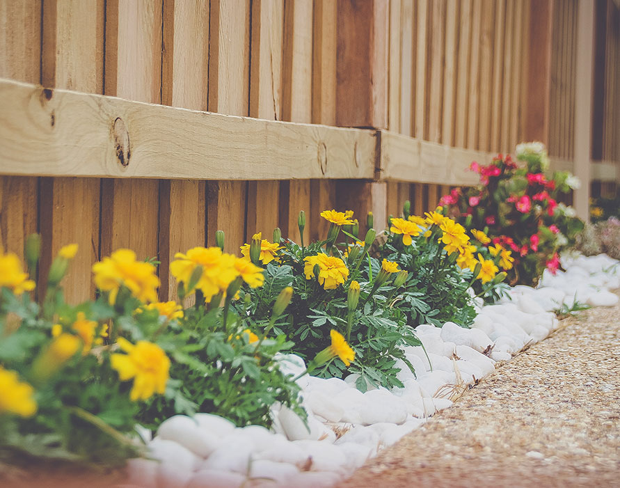 Effective Landscaping for Your HOA
